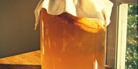 Prednosti kombuče za dijabetes